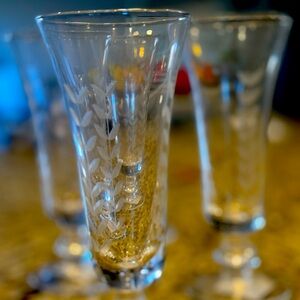 Etched Champagne Glasses NWT